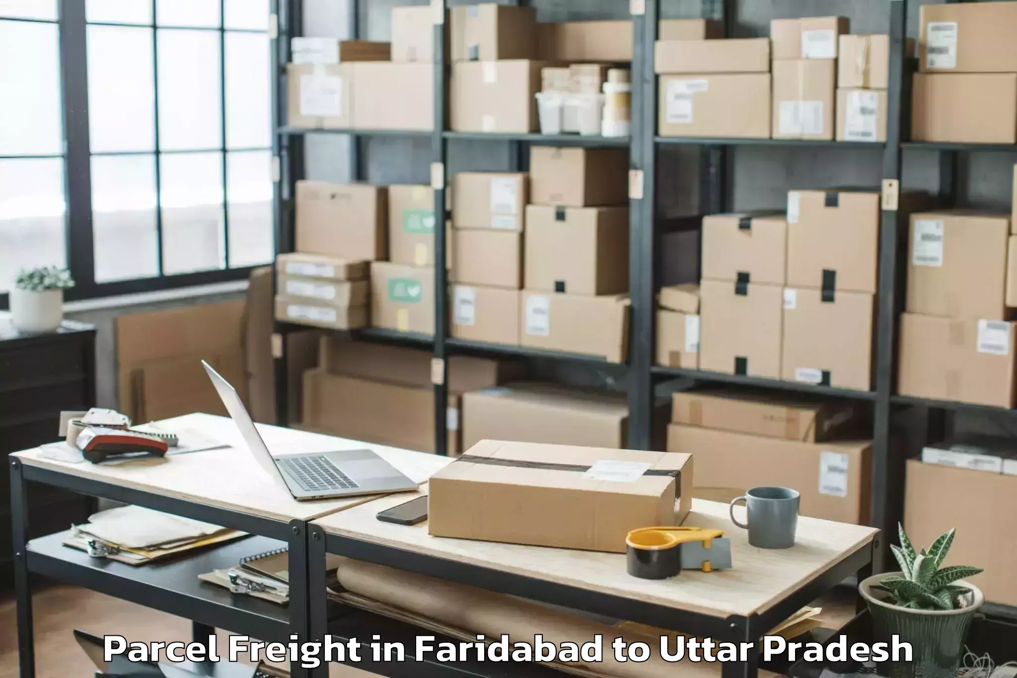 Easy Faridabad to Sahaswan Parcel Freight Booking